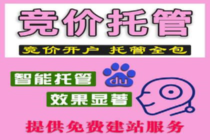百度竞价价格策略解析，案例分享